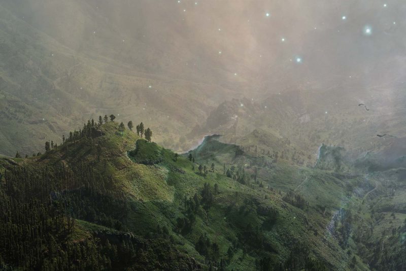 Fable of the forest #21 | Images by Mayke Swemle and NASA, ESA/Hubble and the Hubble Heritage Team