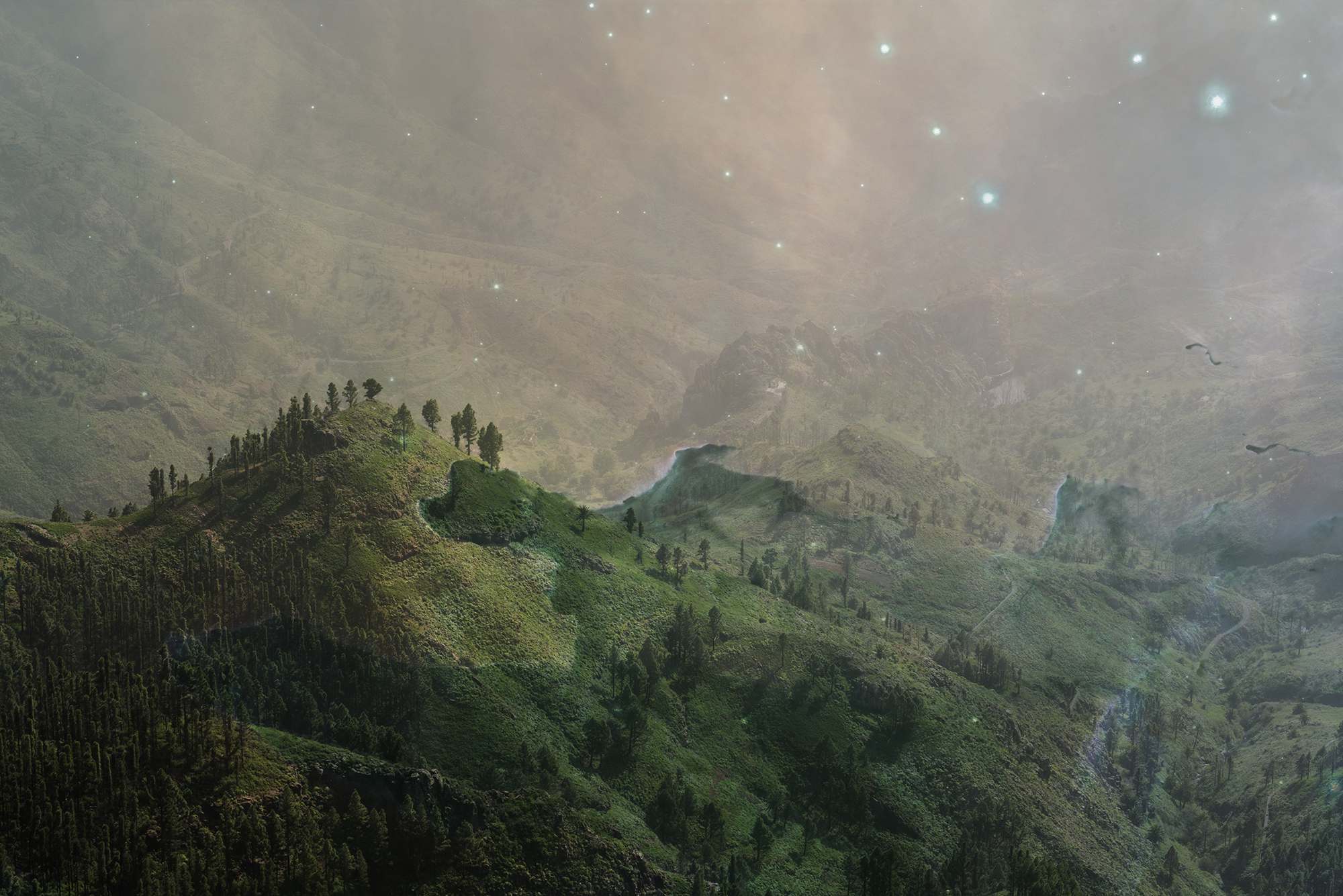 Fable of the forest #21 | Images by Mayke Swemle and NASA, ESA/Hubble and the Hubble Heritage Team