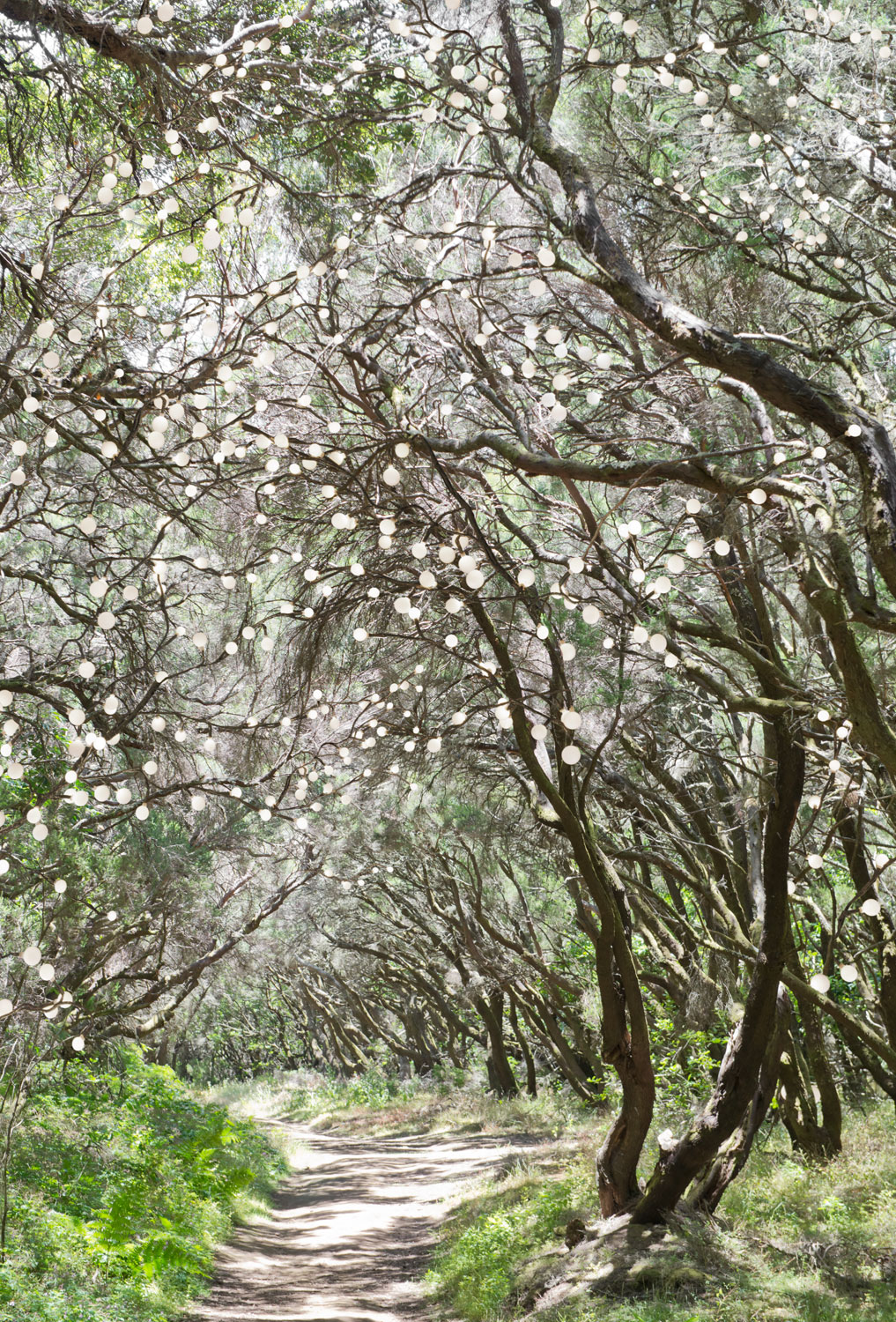 Fable of the forest #11