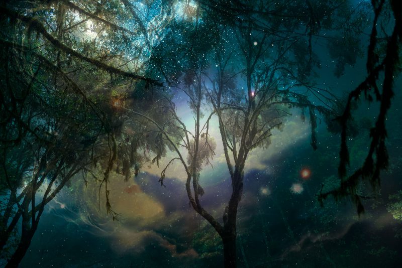 Fable of the forest #25 | images by Mayke Swemle and European Space Agency and Wolfram Freudling (Space Telescope-European Coordinating Facility/European Southern Observatory, Germany)