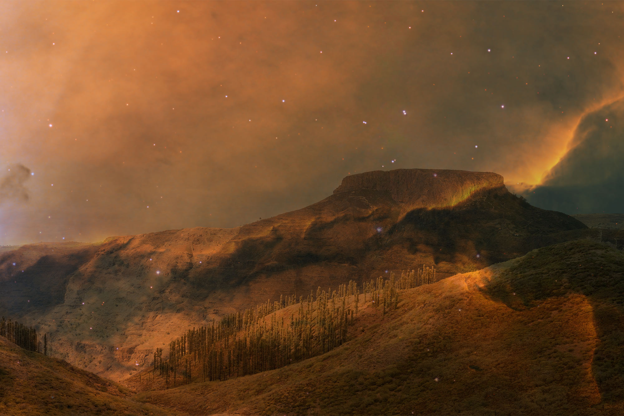 Fable of the forest #28 | Images by Mayke Swemle and NASA, ESA, and The Hubble Heritage Team (STScI/AURA)